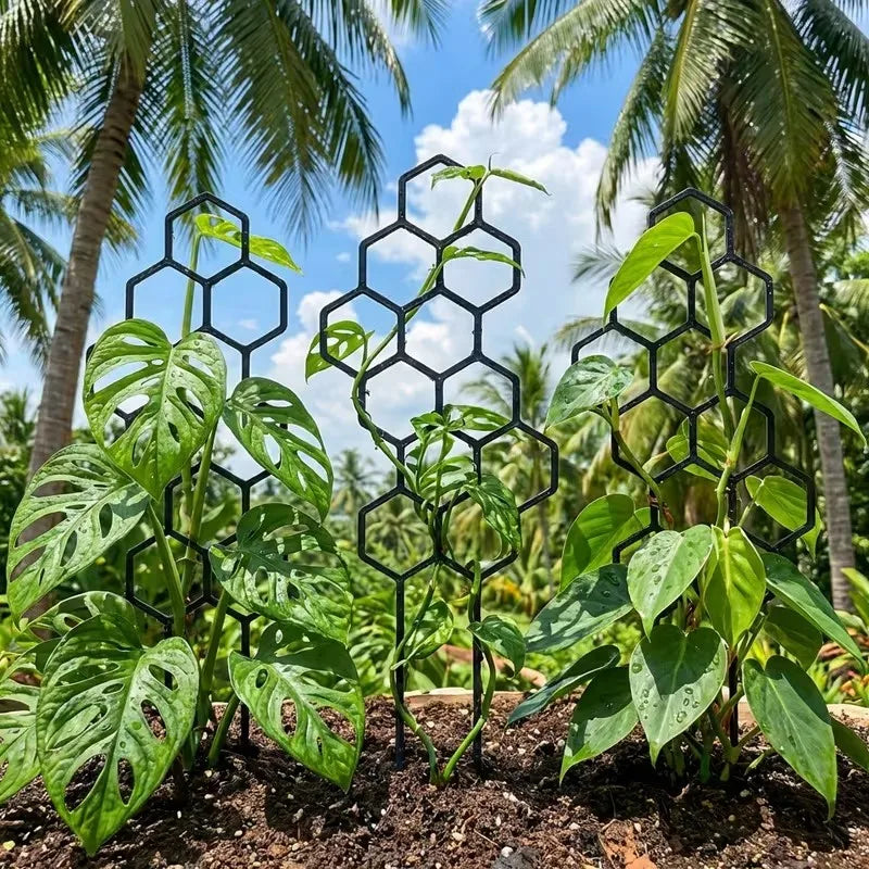 2-Pack Honeycomb Plant Climbing Frame 38x15cm | Vine Support Plant Climbing Frame QXL