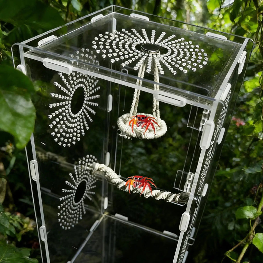 Spider & Gecko Hammock Bridge | Terrarium Climbing Habitat Terrarium Habitat Decor QXL