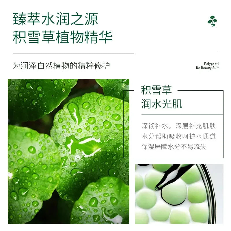 Centella Asiatica 6-Piece Skin Care Set | Aloe, Vitamin C & Peptides Skin Care Set QXL
