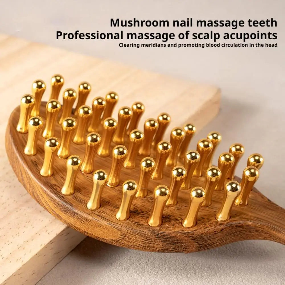 39-Tooth Long-Handle Scalp Massage Comb | Acupoint Stimulator Scalp Massage Comb QXL