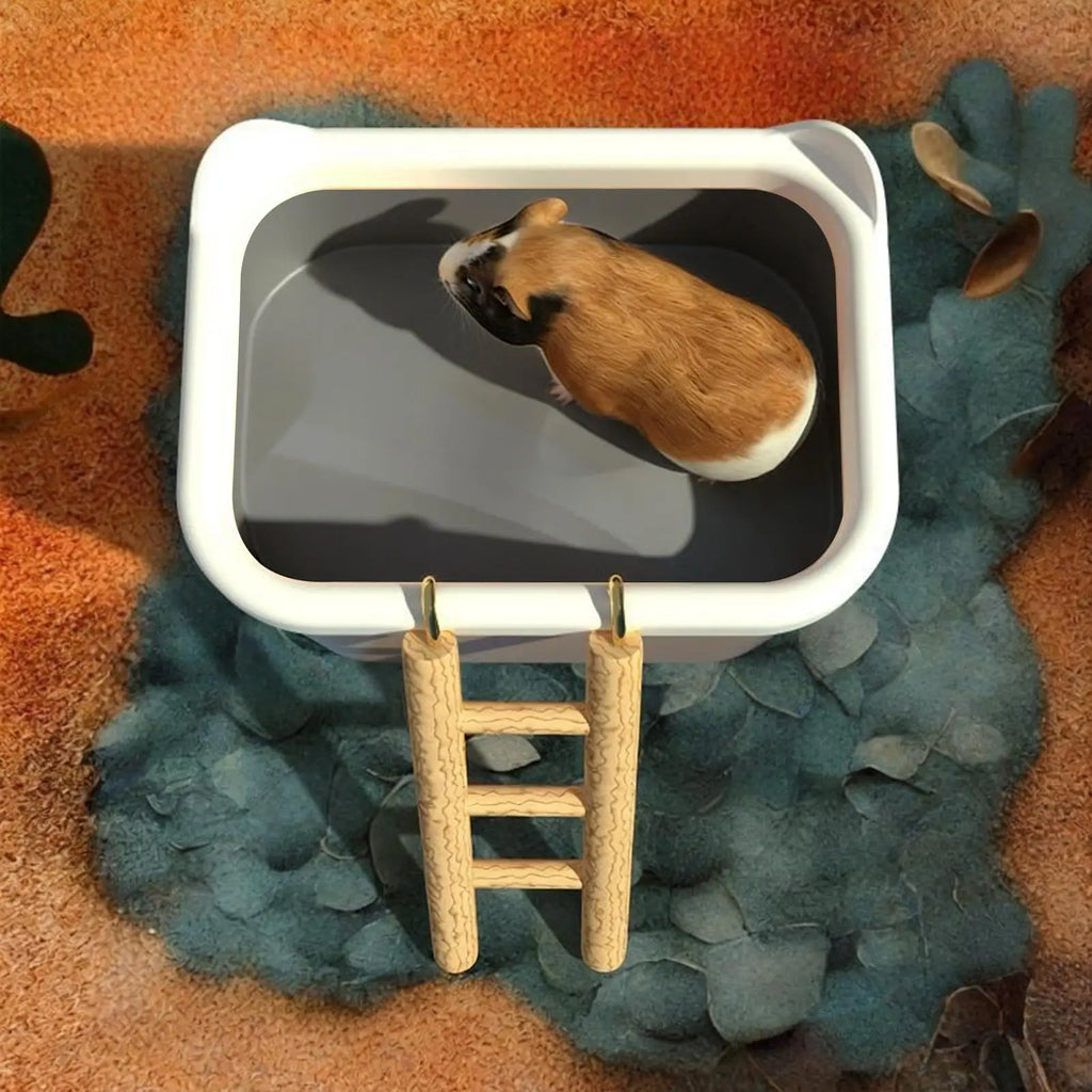 Hamster Sand Bath Box with Ladder | Small Animal Container Small Animal Sand Bath QXL