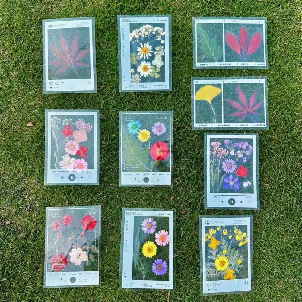 20-Pack Transparent Pressed Flower Bookmark Frames | DIY Craft DIY Craft Bookmark QXL