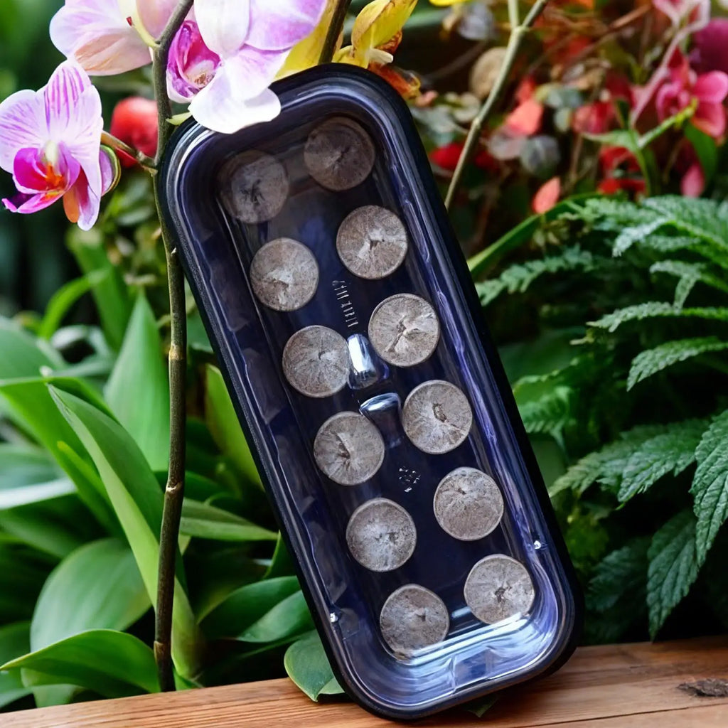 12-Cell Seedling Starter Tray with Humidity Dome – Propagator Seedling Propagation Tray QXL