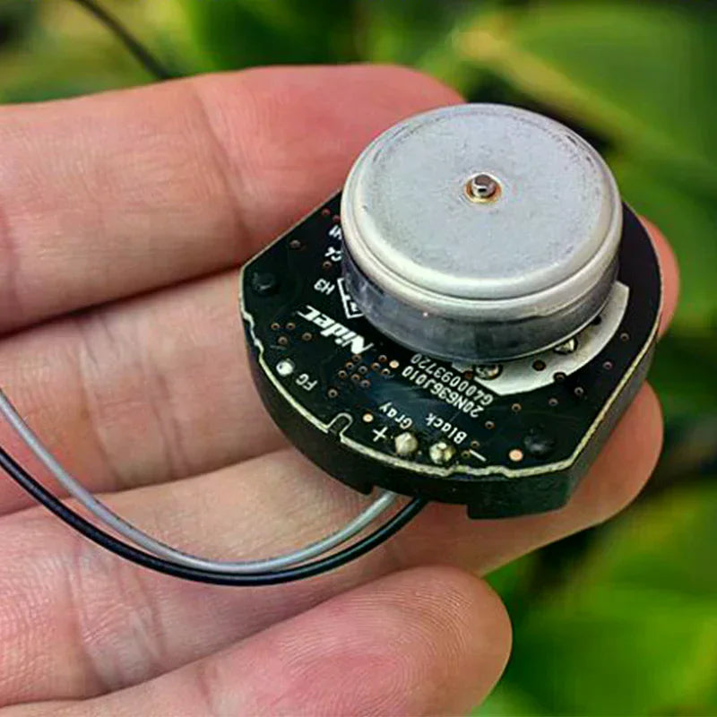 Nidec 24mm Micro Brushless DC Motor 6V–12V 12000RPM + Driver Board Brushless DC Motor QXL