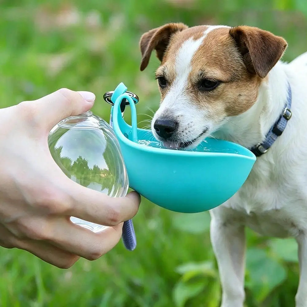 Portable Leakproof Dog Water Bottle | Foldable Travel Cup Pet Travel Bottle QXL