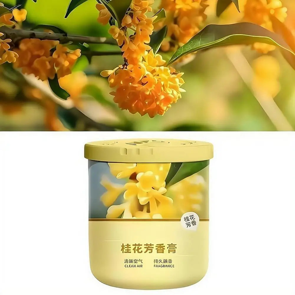 Osmanthus Solid Air Freshener Gel 150g | 90-Day Deodorizer Solid Air Freshener QXL
