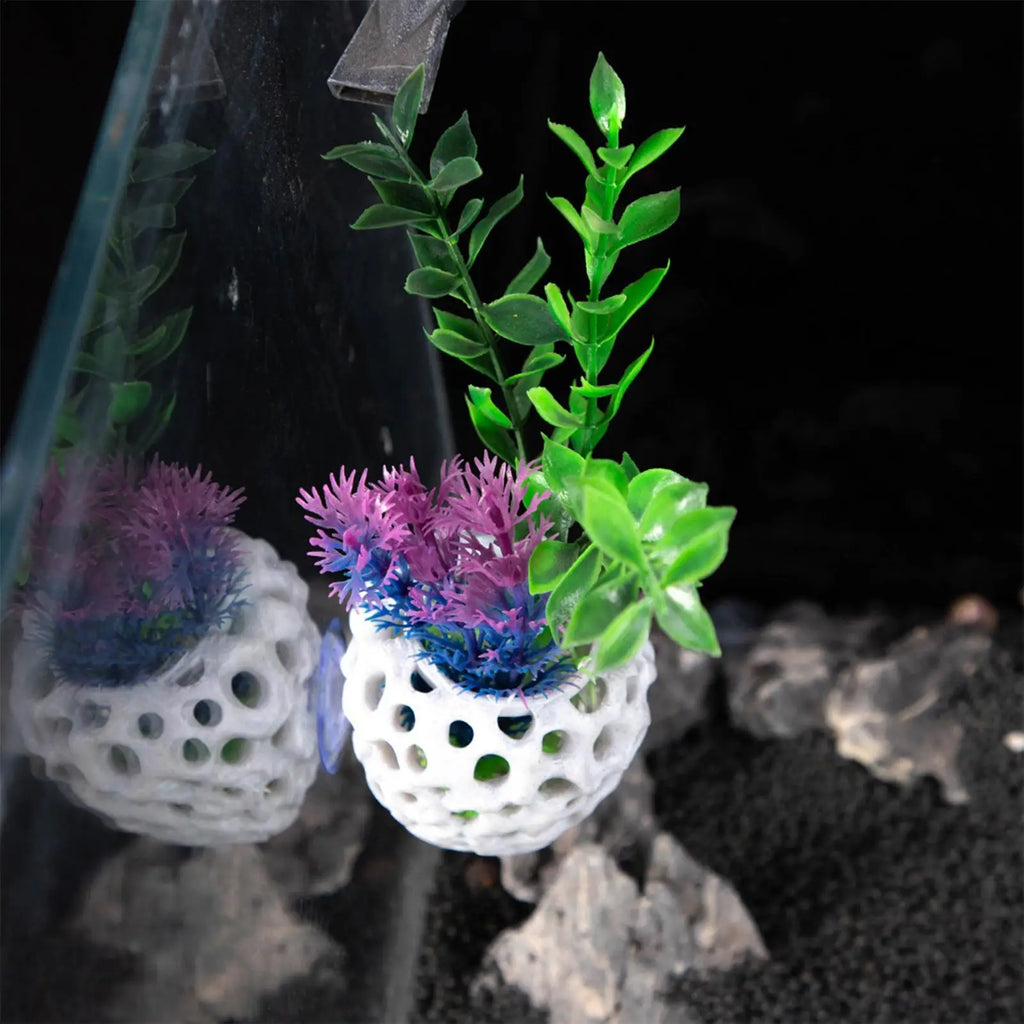 Aquarium Shrimp Hide with Suction Cup | Betta & Guppy Hideout Aquarium Hideout QXL