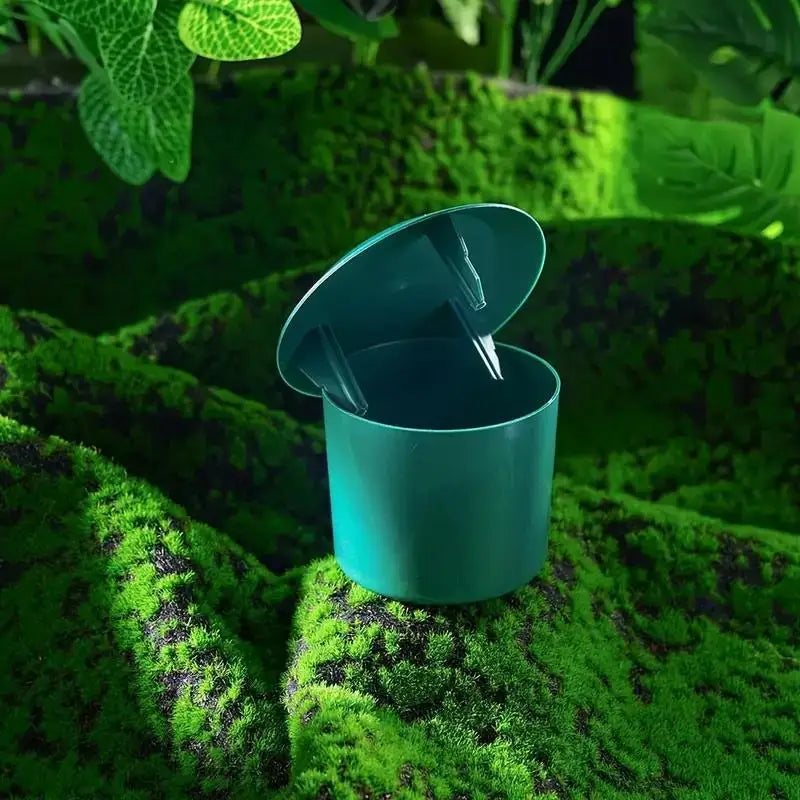 Snail & Slug Trap | Safe Plastic Cage for Garden Plants Garden Pest Trap QXL