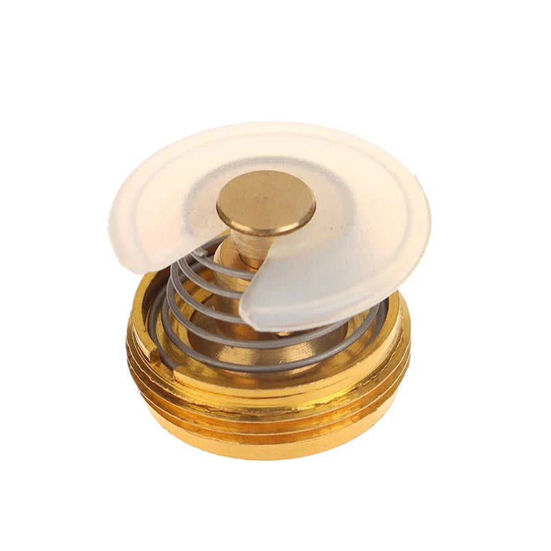 Brass Gas Water Heater Control Valve Regulator Core & Cap Plumbing Control Valve QXL