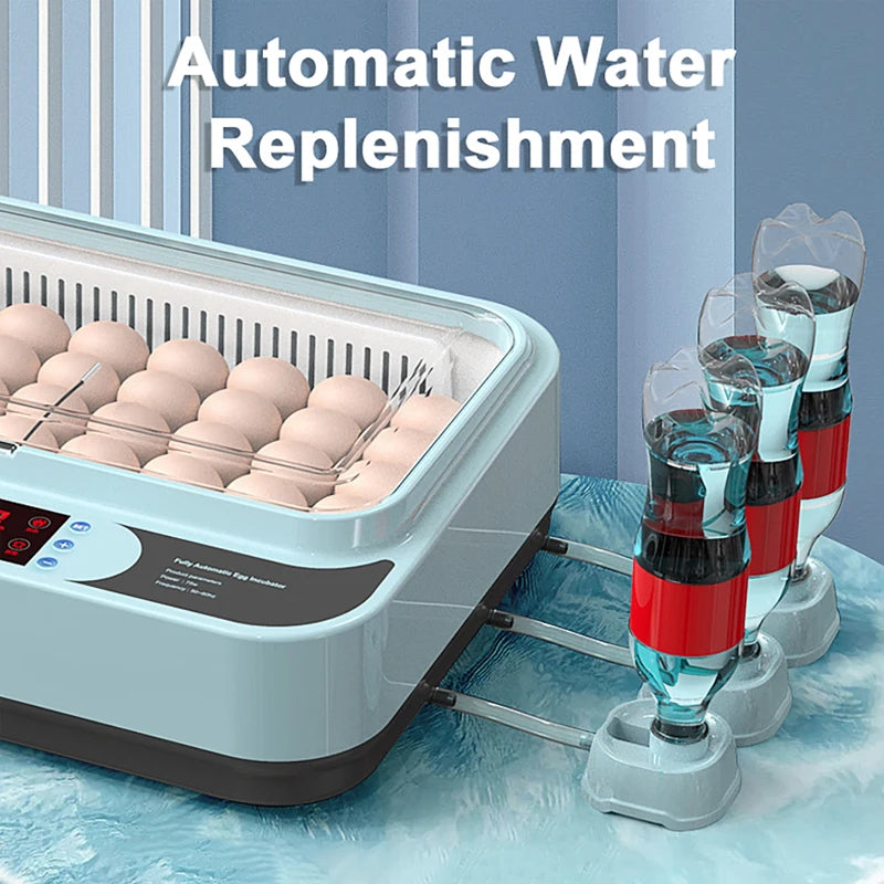 6-Egg Automatic Incubator – Chicken, Duck & Quail Egg Incubator QXL