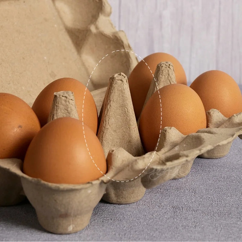 10-Pack Pulp Egg Trays | Farm, Home, Camping Egg Boxes Egg Storage Tray QXL