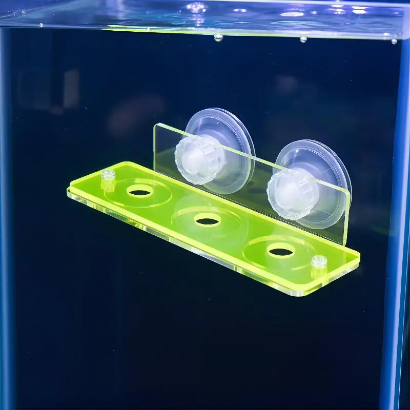 Acrylic Fluorescent SPS Coral Frag Rack & Plug Holder Coral Frag Rack QXL