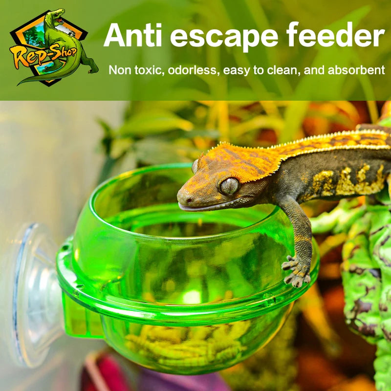 Anti-Escape Suction Cup Reptile Feeder Bowl | Lizard Gecko Reptile Feeder Bowl QXL