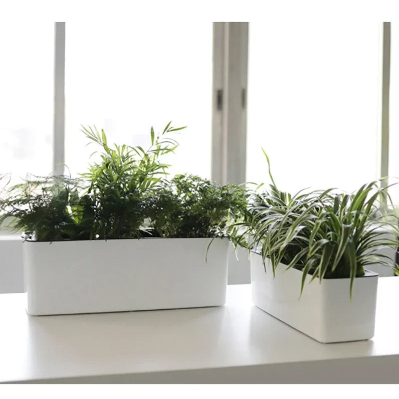 Rectangular Self-Watering Planter & Water Level Indicator Self-Watering Planter QXL