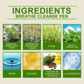 4-in-1 Herbal Aromatherapy Diffuser Set | Mullein Thyme Mint Herbal Aromatherapy Inhaler QXL Default Title