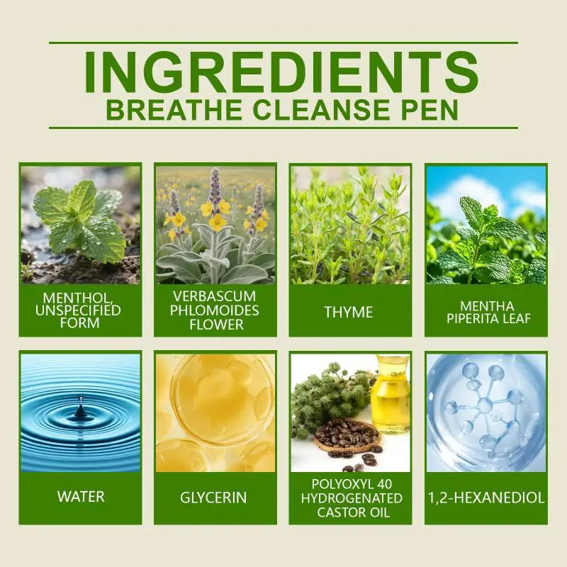 4-in-1 Herbal Aromatherapy Diffuser Set | Mullein Thyme Mint Herbal Aromatherapy Inhaler QXL Default Title