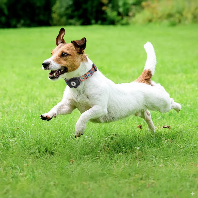 4G Mini GPS Tracker for Cats & Dogs | Real-Time Pet Locator Pet GPS Tracker QXL