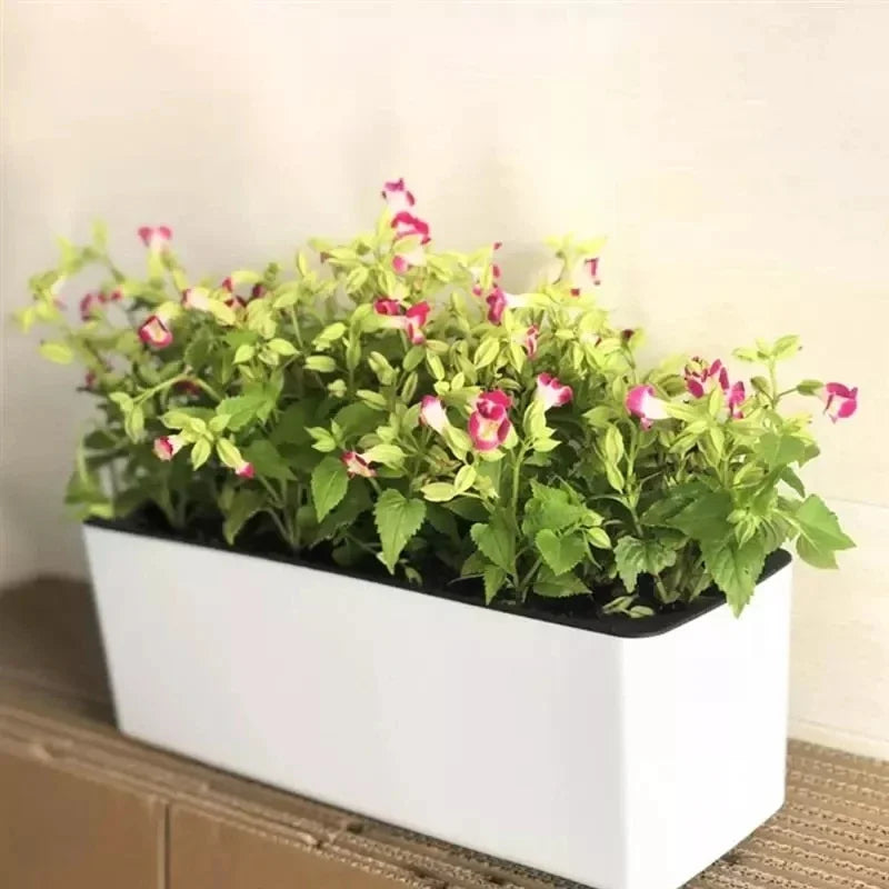Rectangular Self-Watering Planter & Water Level Indicator Self-Watering Planter QXL