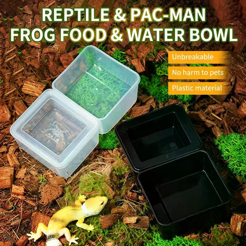 Plastic Reptile Feeder Box – Anti-Escape for Lizards & Snakes Reptile Feeder Box QXL