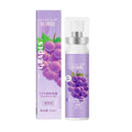 20ml Breath Freshener Spray – Fruity & Mint Flavors Breath Freshener Spray QXL B