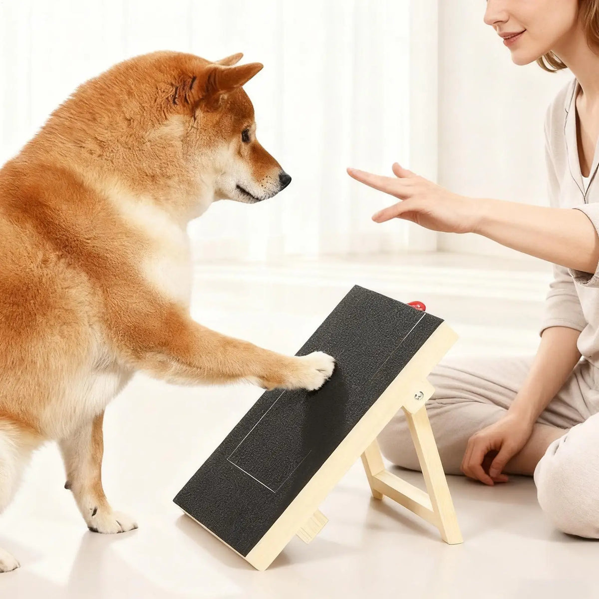 Wooden Dog Nail Scratch Board with Stand & Treat Box Dog Nail Scratch Board QXL