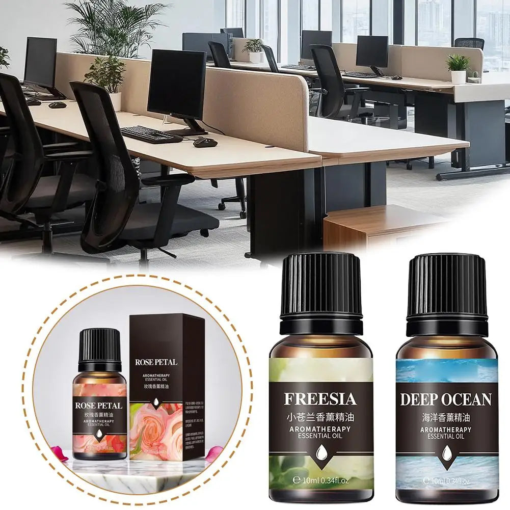 10ml Fragrance Essential Oils | Lavender Rose Lemon & More Fragrance Essential Oil QXL