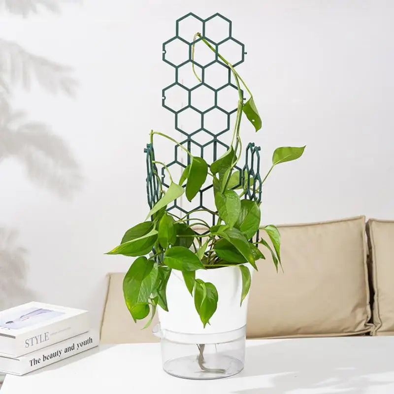 Honeycomb Plant Trellis | Modular Plastic Support for Vines Plant Trellis Support QXL