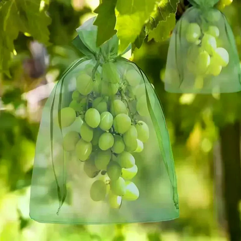 Reusable Fruit Protection Mesh Bags | Pest Barrier 20/50-Pack Garden Fruit Bags QXL