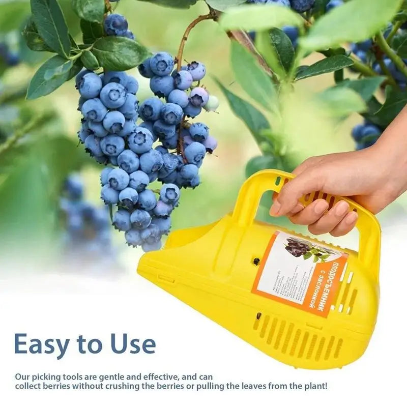 Blueberry Picker Rake with Comb Teeth | Large Capacity Berry Harvesting Tool QXL