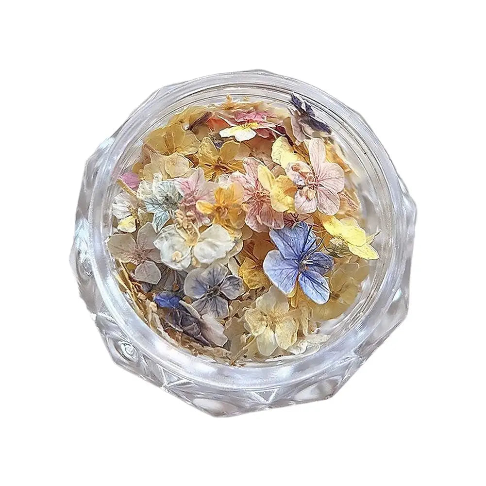 Real Dried Flower Nail Art Set | 3D Floral Manicure Decor Nail Art Decoration QXL A CN