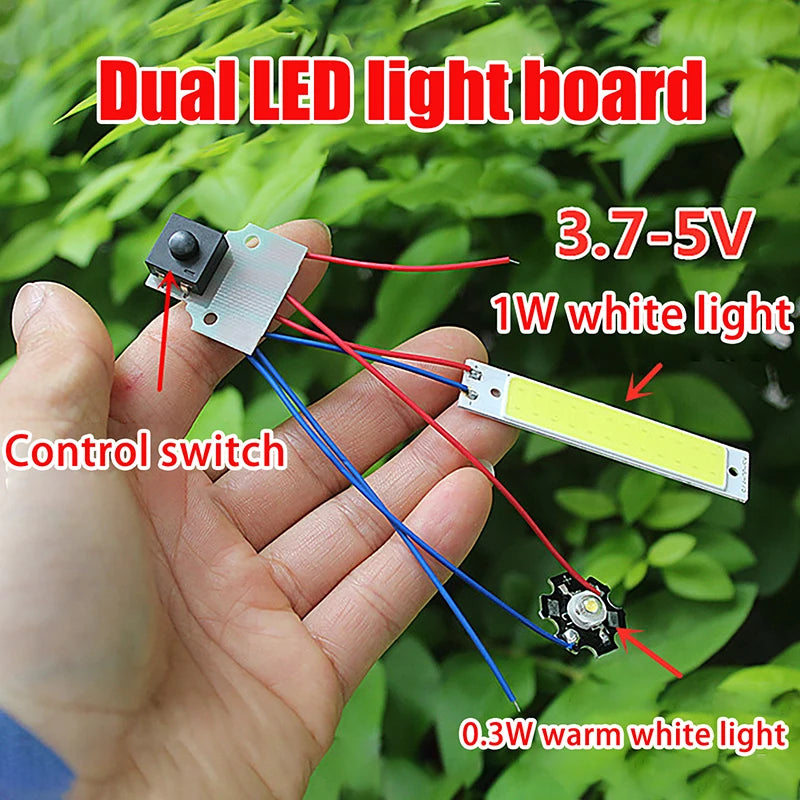 Dual LED Light Module with Switch | DC 3.7–5V Warm & Cool LED Light Module QXL