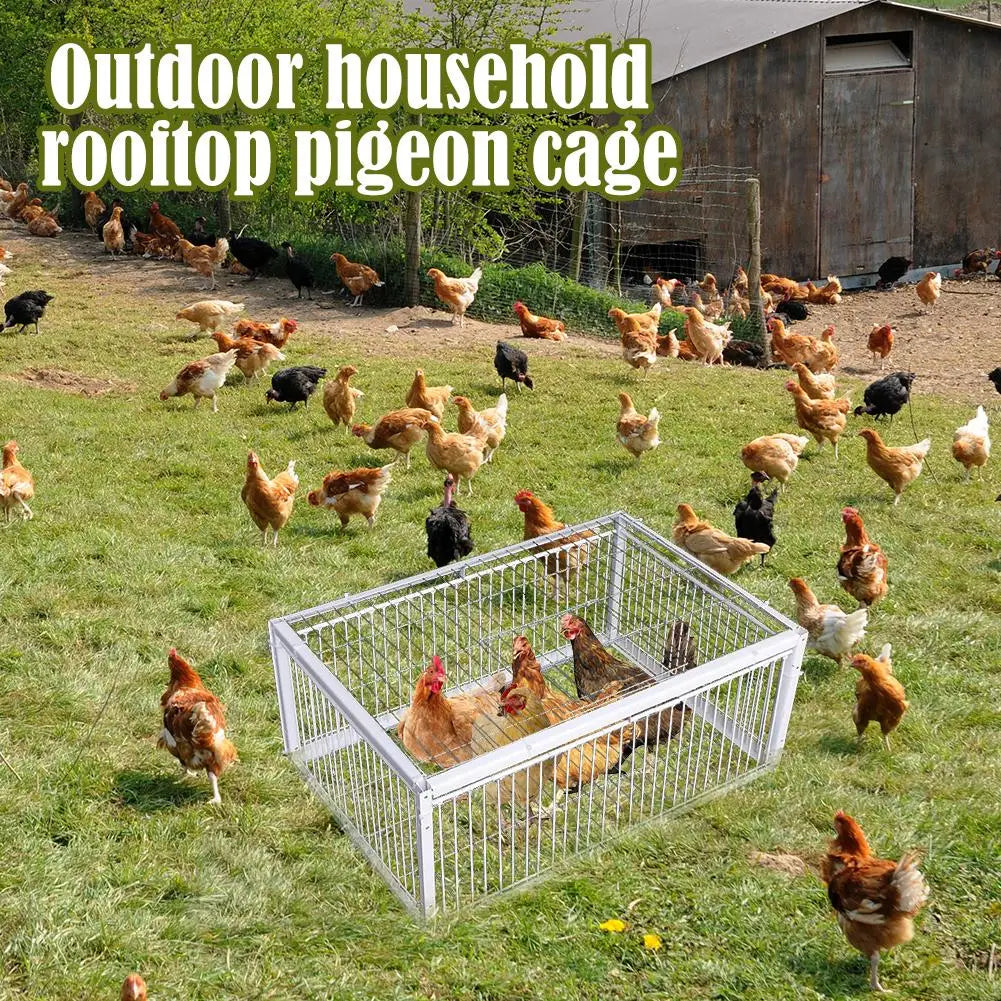 Automatic One-Way Bird Trap Cage | Pigeon & Small Animal Bird Trap Cage QXL