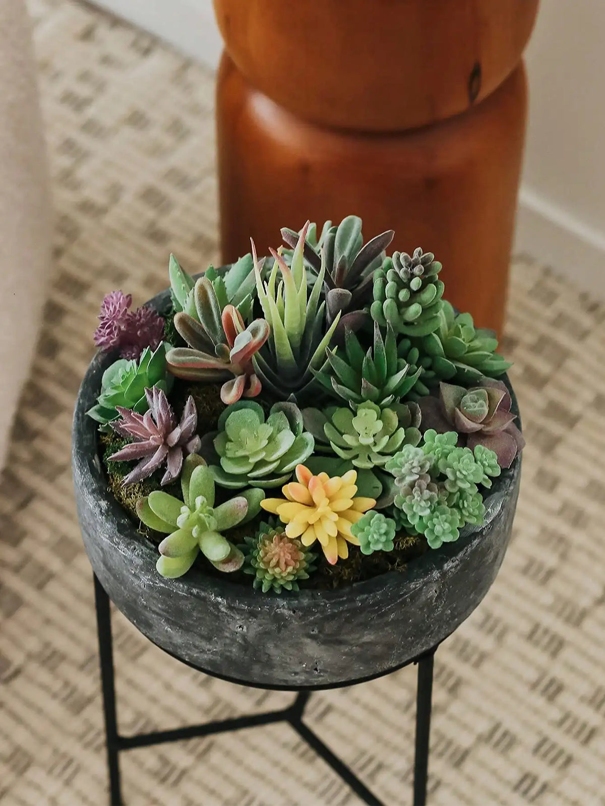Mini Faux Succulents & Cactus Set | Flocked Artificial Plants Artificial Succulents QXL