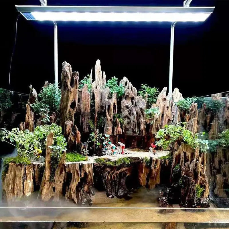 Natural Shrimp Wood Driftwood Aquarium Decor with Holes Aquarium Driftwood QXL