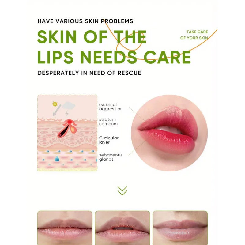 Hoygi Aloe Lip Balm – Deep Hydration & Nourishing Lip Care Aloe Lip Balm QXL
