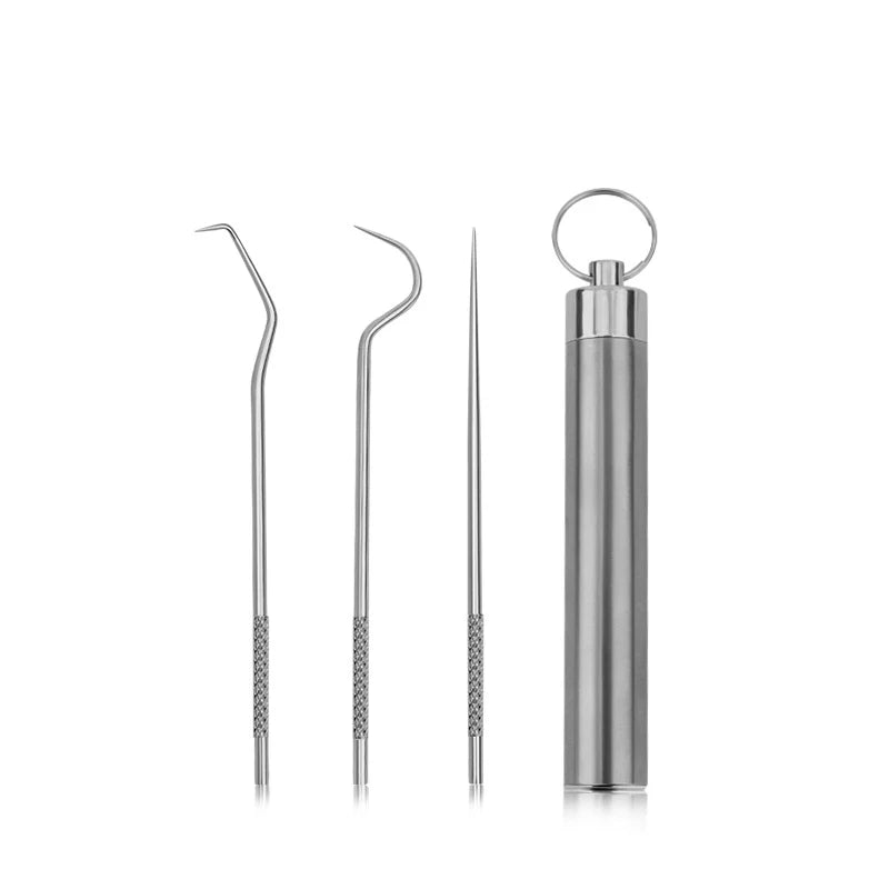 304 Stainless Steel Toothpick Set & Portable Holder | Dental Care Toothpick Set QXL B
