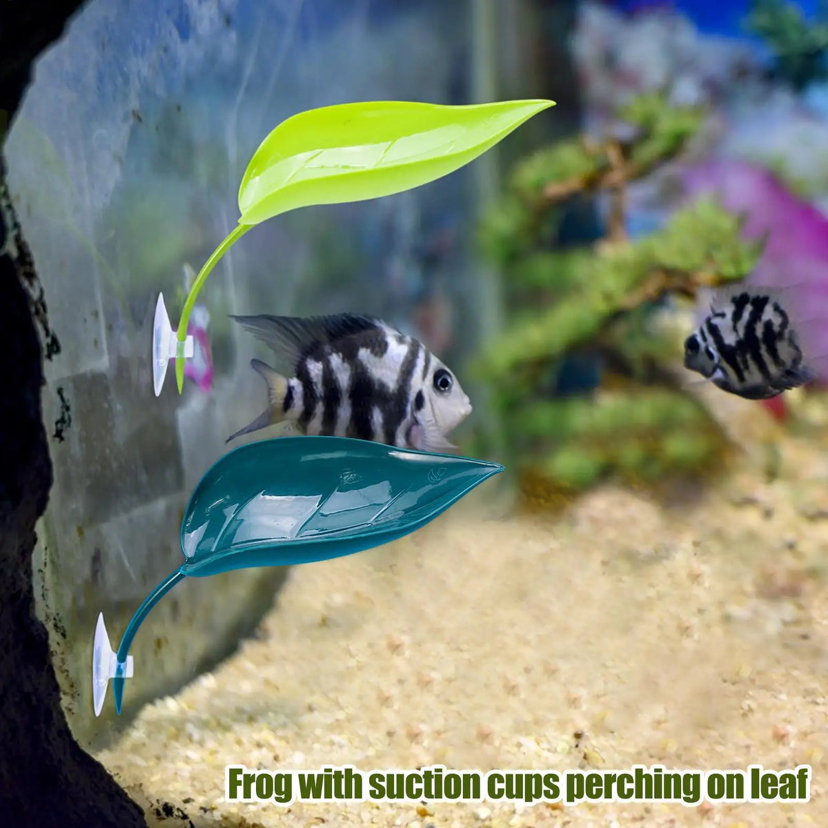 3-Pack Reptile Terrarium Leaf Perch | Frog & Gecko Suction Cup Terrarium Leaf Perch QXL