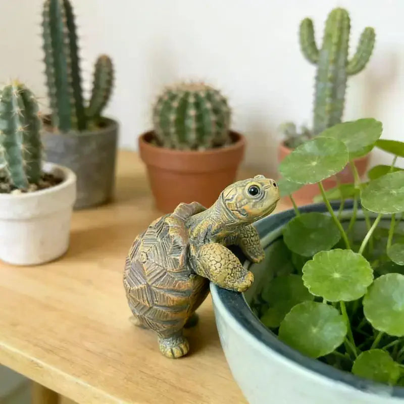 Resin Turtle Hanging Flower Pot | Wall-Mount Animal Planter Wall Hanging Planter QXL