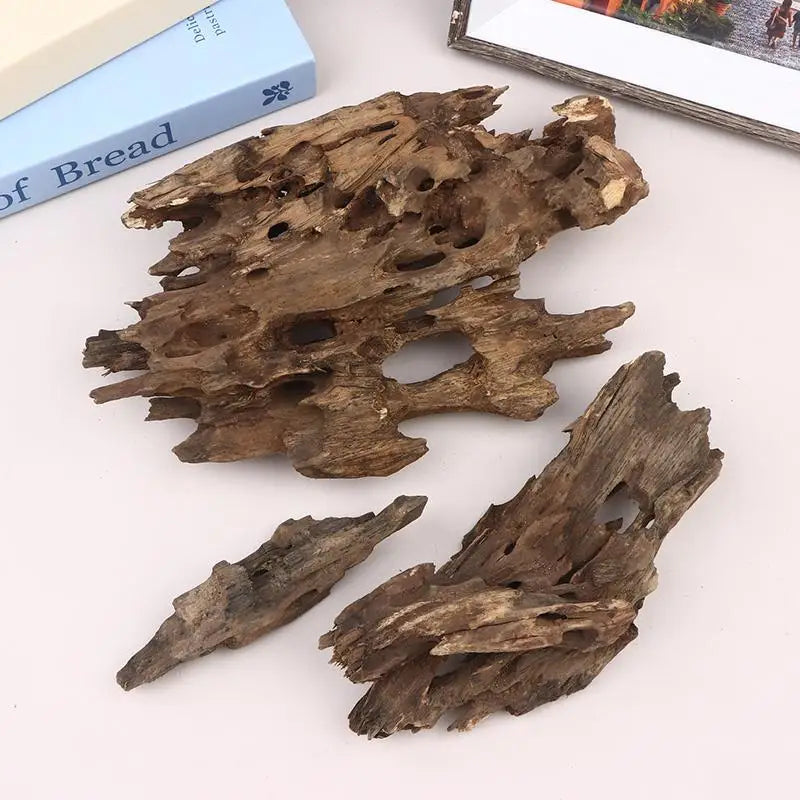 Natural Shrimp Wood Driftwood Aquarium Decor with Holes Aquarium Driftwood QXL