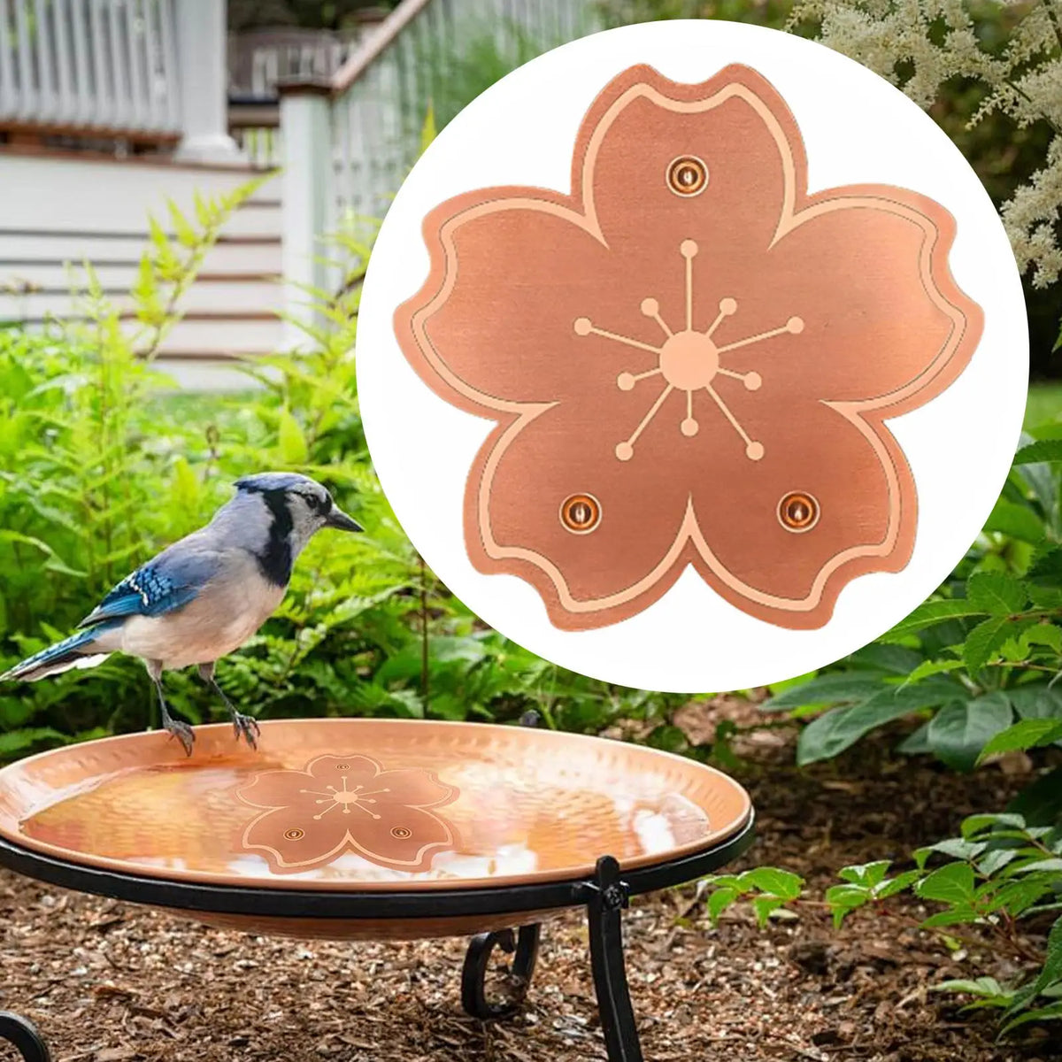 Copper Bird Bath Purification Disc | Rust-Resistant Cleaner Bird Bath Disc QXL