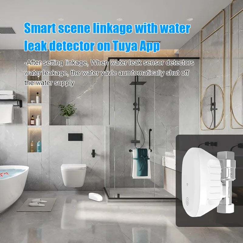 Tuya WiFi Smart Water Valve DN20 DN25 | App & Voice Control Smart Water Valve QXL