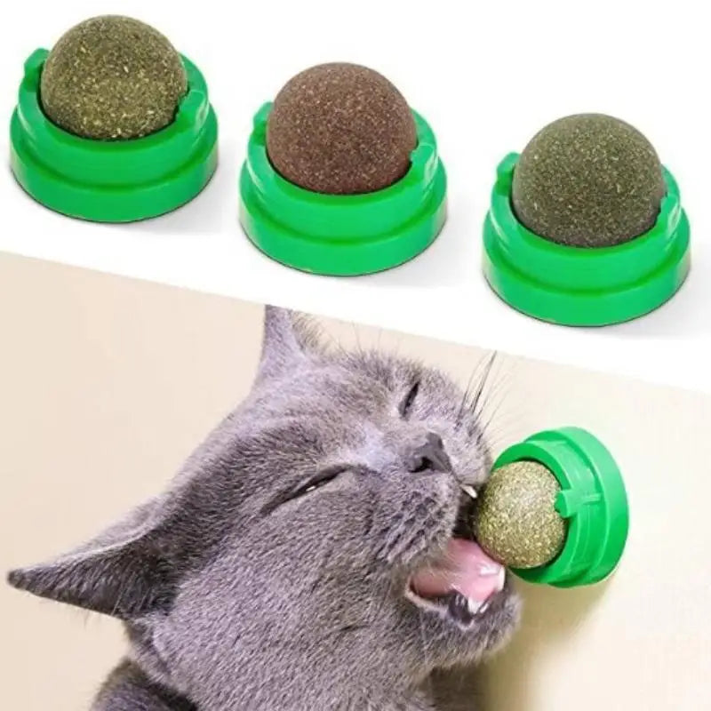 Natural Catnip Wall Stick-On Ball Toy & Scratcher for Cats Cat Catnip Toy QXL