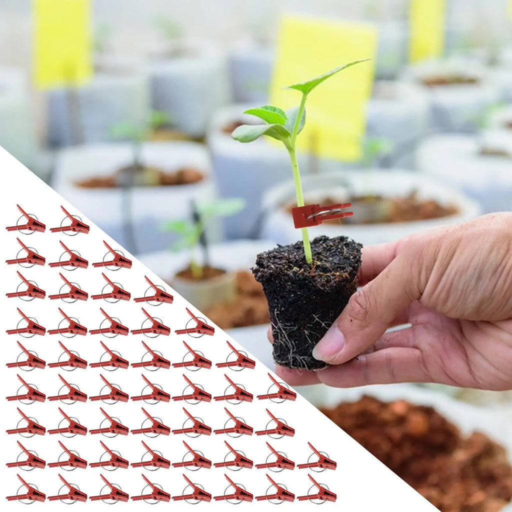 50-Pack Plant Grafting Clips for Tomatoes, Cucumbers & Melons Plant Grafting Clips QXL