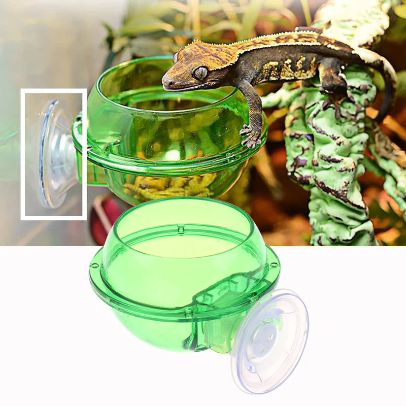 Anti-Escape Suction Cup Reptile Feeder Bowl | Lizard Gecko Reptile Feeder Bowl QXL