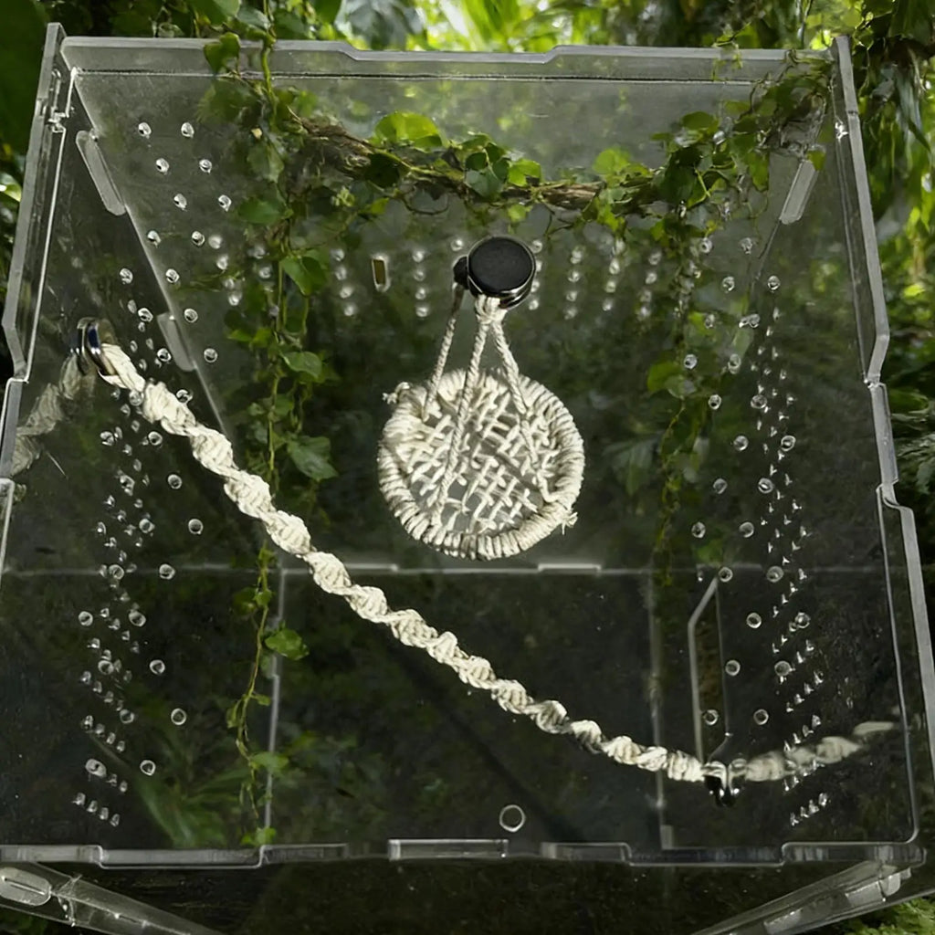 Spider & Gecko Hammock Bridge | Terrarium Climbing Habitat Terrarium Habitat Decor QXL