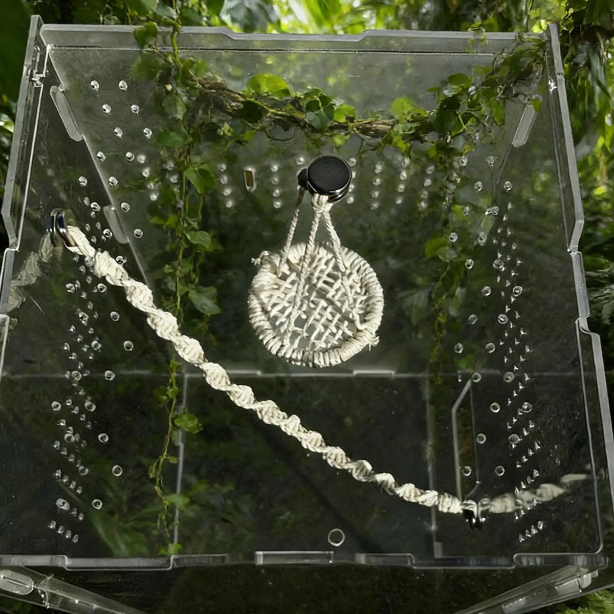Spider & Gecko Hammock Bridge | Terrarium Climbing Habitat Terrarium Habitat Decor QXL