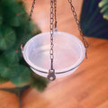 Transparent Circular Bird Feeder Bowl | Window & Garden Bird Feeder Bowl QXL Default Title