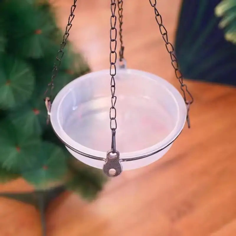 Transparent Circular Bird Feeder Bowl | Window & Garden Bird Feeder Bowl QXL Default Title