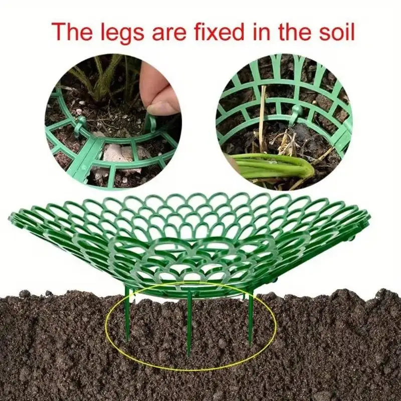6-Pack Strawberry Plant Support Frames | 3-Leg Growing Rack Plant Support Frames QXL