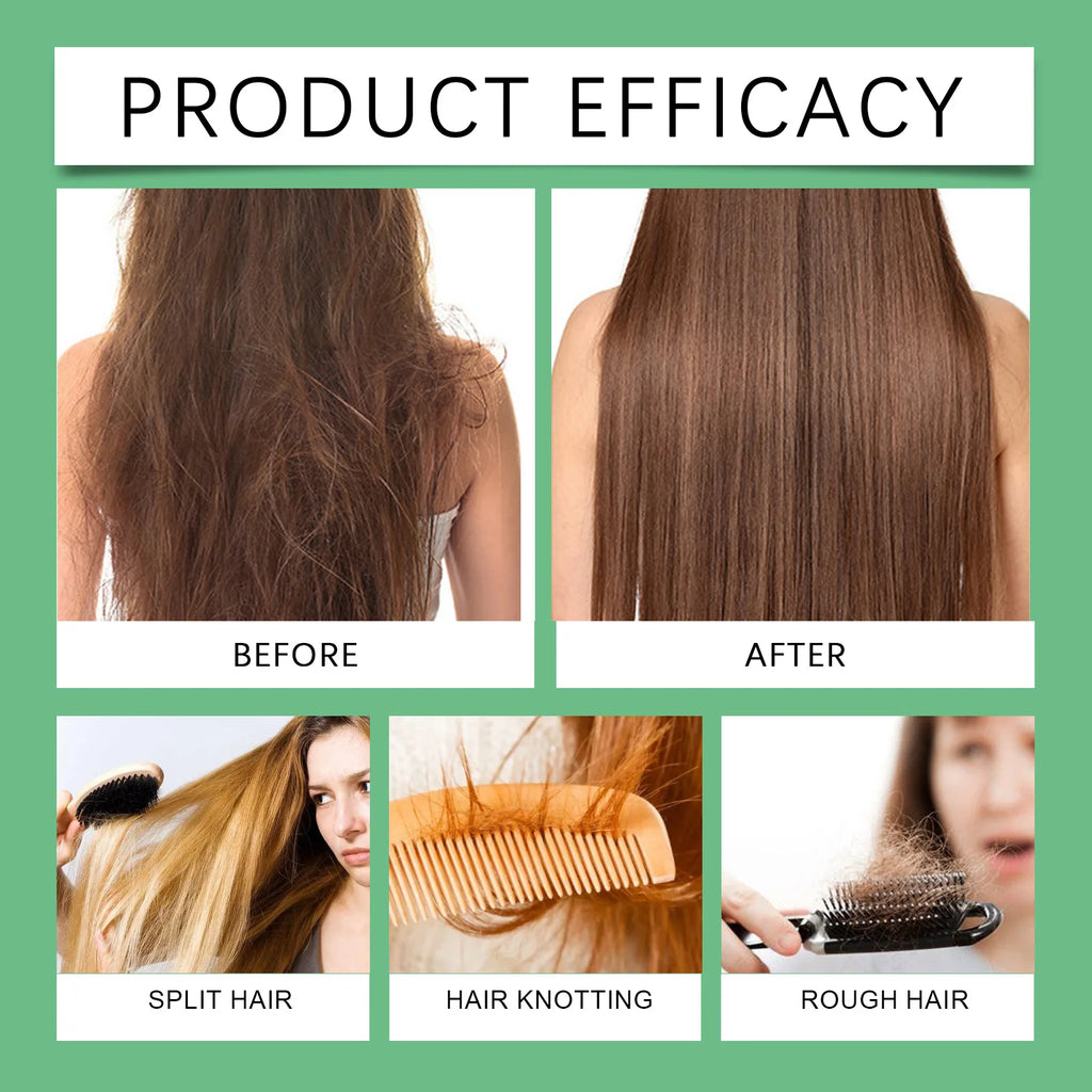 HOEGOA Rosemary Mint Shampoo – Volumizing & Thickening 100ml Volumizing Shampoo QXL